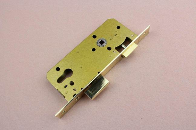 What are the characteristics of the passage latch lock body？